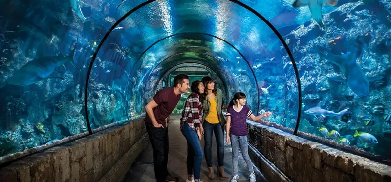 Shark Reef Aquarium Entry Ticket